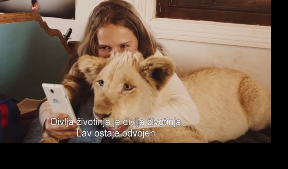 (VIDEO) POGLEDAJTE FILM "MIA I BELI LAV"! Emotivna i topla priča o ljubavi i prijateljstvu