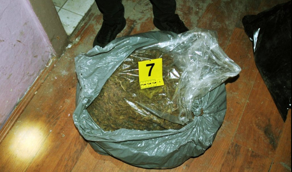 PAO SA 27 KILOGRAMA MARIHUANE! Policija u Novom Sadu podigla krivičnu prijavu zbog proizvodnje i prodaje opojnih droga!