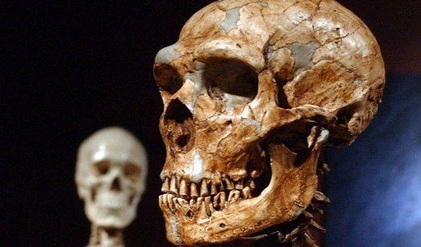 OGROMNO OTKRIĆE KOD NIŠA! Pronađen fosil prvog Srbina neandertalca!