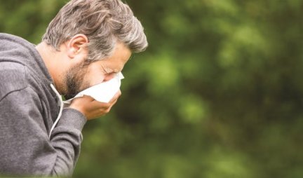 POČINJE SEZONA POLENSKIH KIJAVICA! 4 načina da razlikujete virus od alergije!