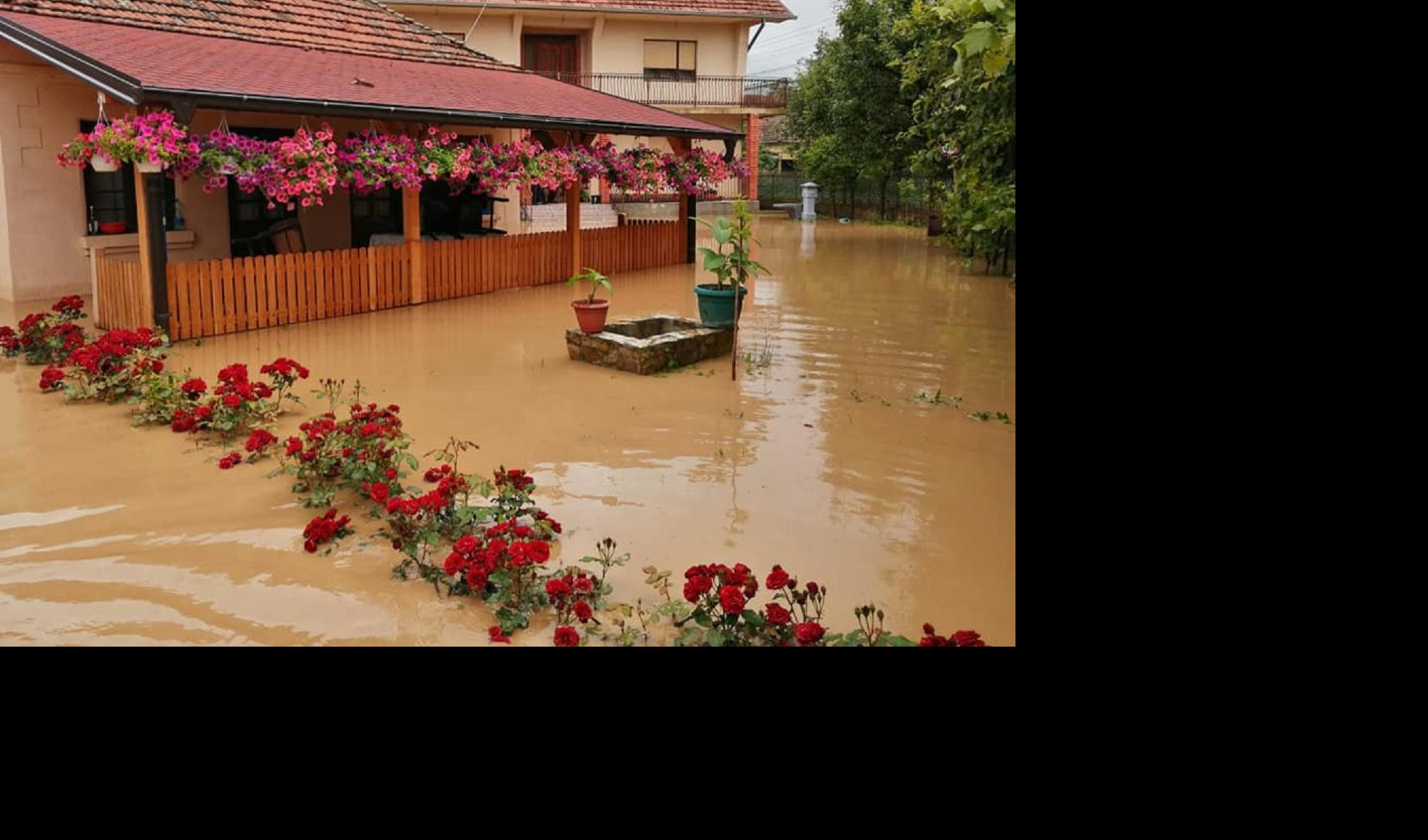 (FOTO) VODA NAPRAVILA PROBLEM I U TRSTENIKU! U Selištu poplavljeno 80 kuća!