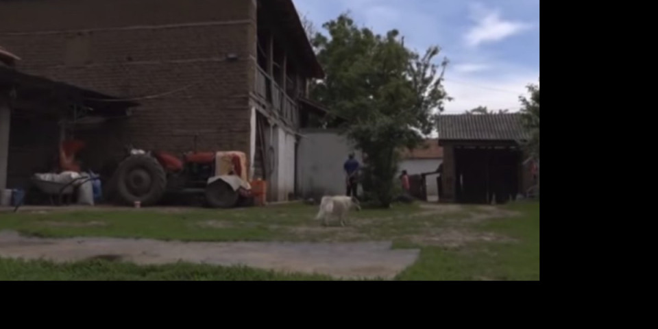 (VIDEO) OVO JE PREVRŠILO SVAKU MERU! Opljačkana srpska kuća u Gračanici, Andrejevići proveli noć napolju