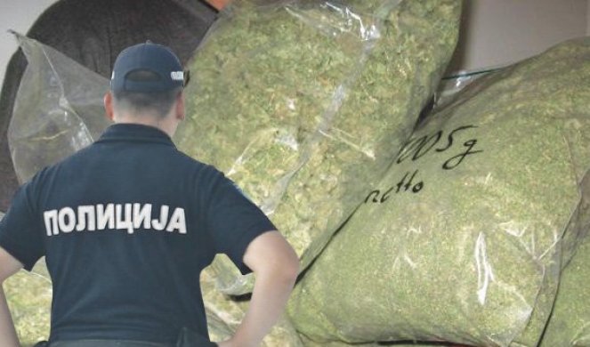PAO DILER U MAJDANPEKU: Na tavanu štekovao džak marihuane vredne NEKOLIKO MILIONA DINARA