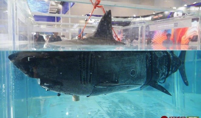 (VIDEO) OVO JE AJKULA ŠPIJUN! Robotski morski pas je novi izum Kineza