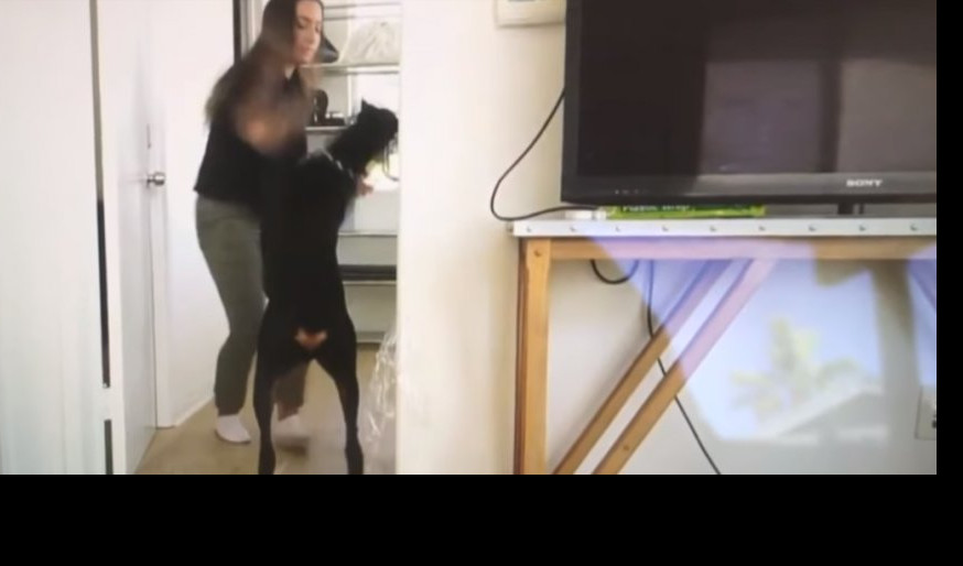 (VIDEO) SAMA SEBE ODALA! Influenserka tukla psa, pa snimak greškom postavila na svoj kanal!