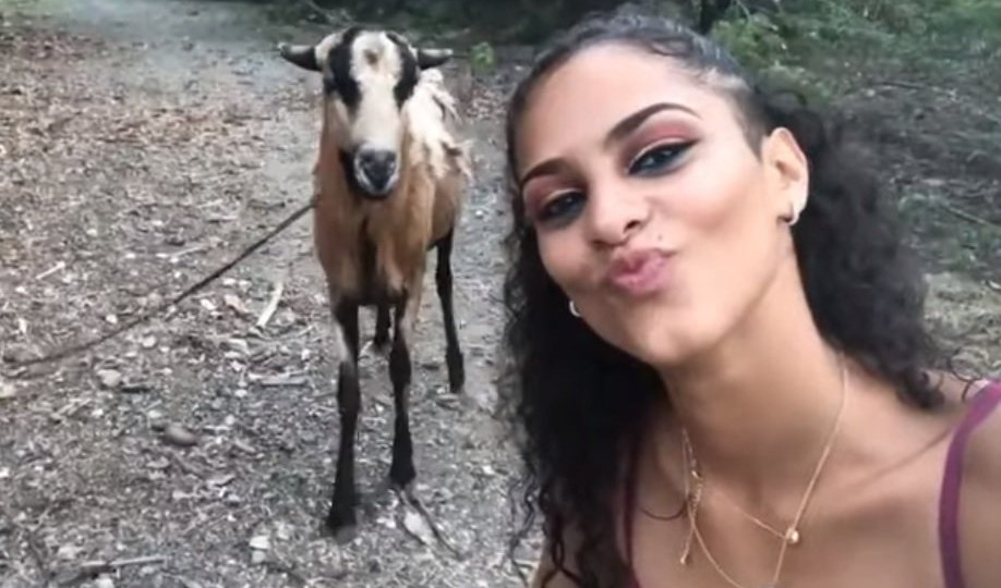 (VIDEO) SELFI "BOLI GLAVA"! Htela je da se fotografiše sa kozom, a onda je doživela šok!