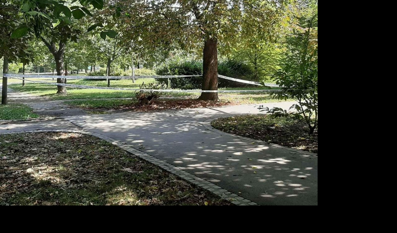 (FOTO) PRONAĐENA RUČNA BOMBA u Velikom parku u Šapcu