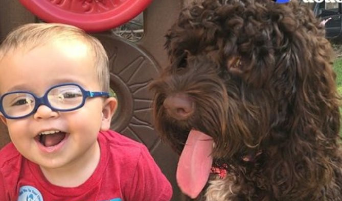 (VIDEO) DA SE ISTOPIŠ! Dečak sa hendikepom i njegov pas čine NEVEROVATNE STVARI!