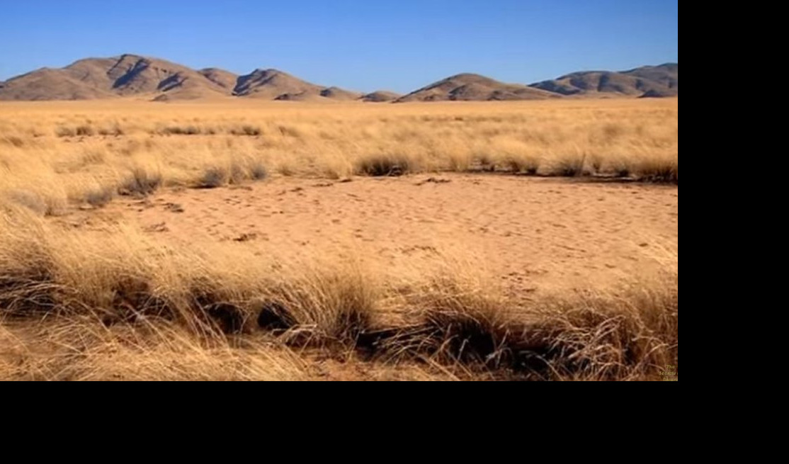 (VIDEO/FOTO) MISTERIJA VILINSKIH KRUGOVA! Kakvu tajnu krije najstarija pustinja na svetu?