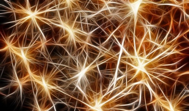 NEKE STVARI JE NAJBOLJE ZABORAVITI! Naučnici tvrde: ZABORAV donose SPECIFIČNI NEURONI U MOZGU!