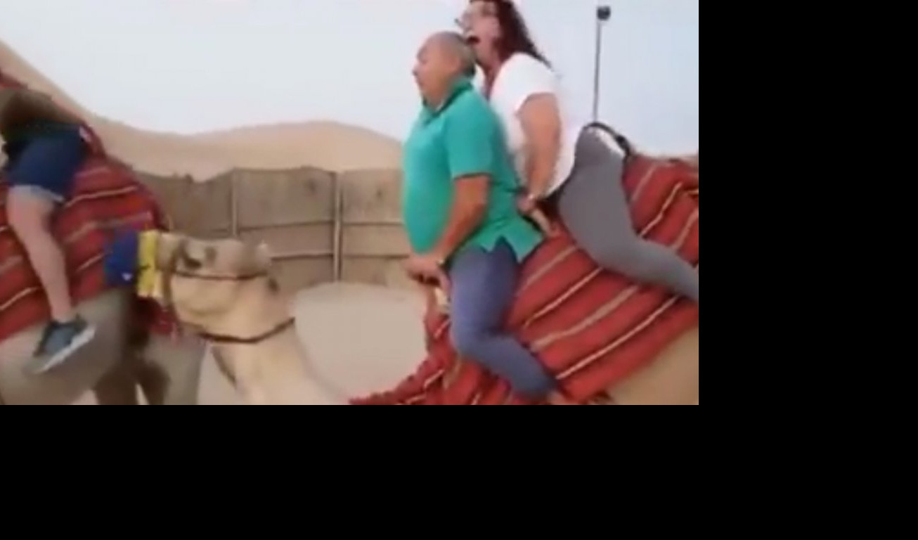 NE DAJ SE KAMILO: Zajahali kamilu pa se gorko pokajali (Video)