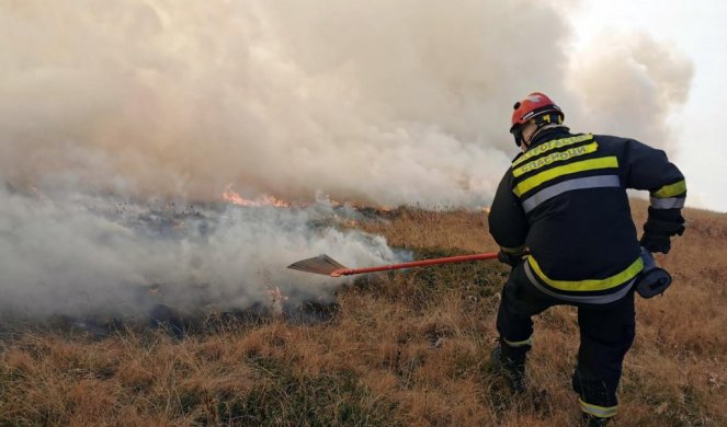 OPET GORI NA STAROJ PLANINI!  Požar zahvatio 10 hektara,nema povređenih
