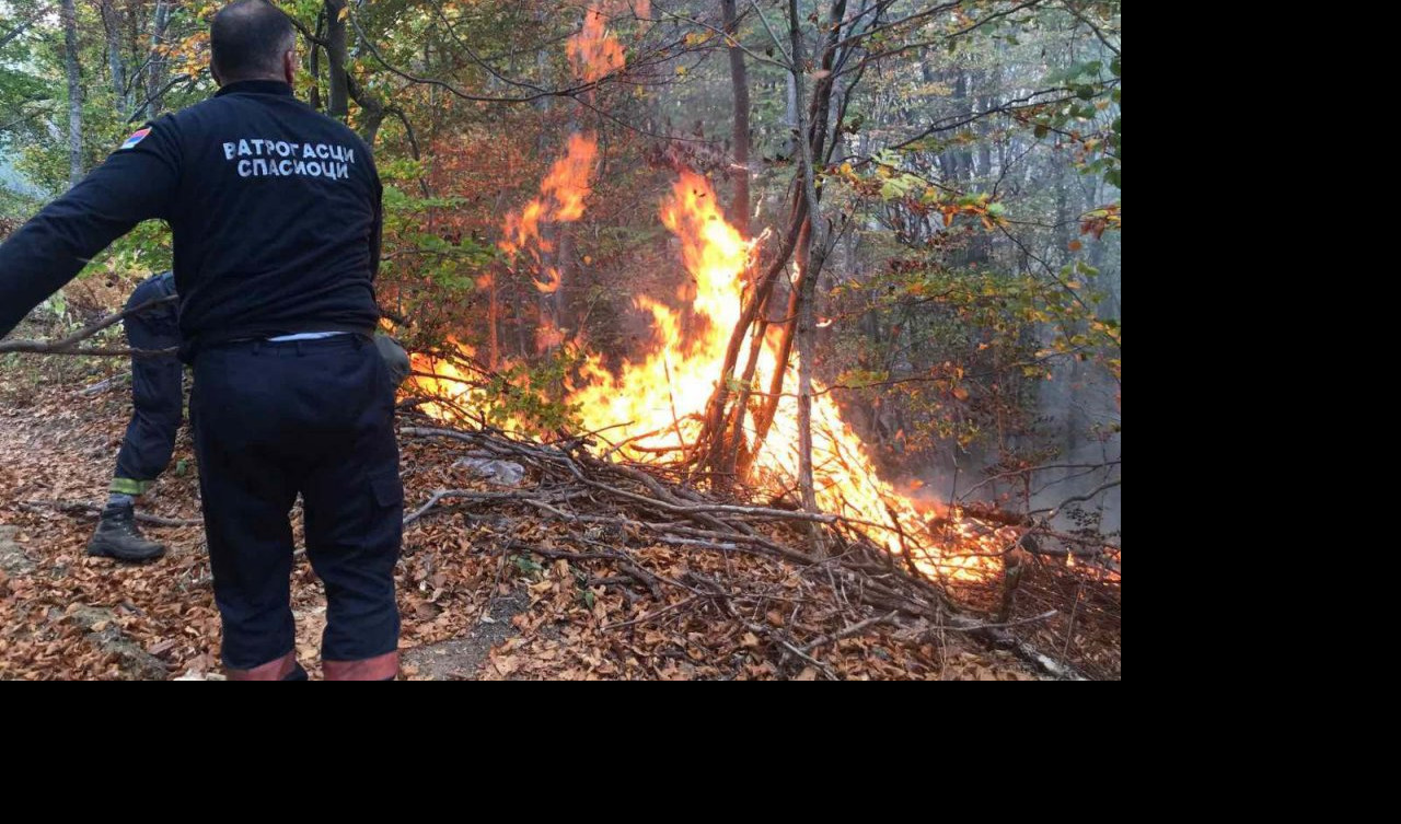 BUKTI POŽAR NA STAROJ PLANINI! Vatra zahvatila 10 hektara, nema povređenih