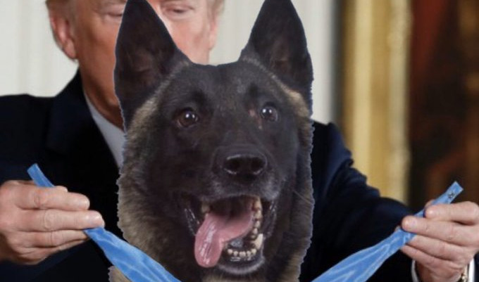 (FOTO) CEO SVET SE SMEJE TRAMPOVOJ FOTOŠOP PREVARI! Objavio sliku odlikovanog psa i napisao "AMERIČKI HEROJ", a onda je otkrivena SKANDALOZNA OBMANA!