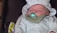 OVO JE DADILJA ZA POŽELETI! Svaka beba bi uživala da je on čuva! (VIDEO)