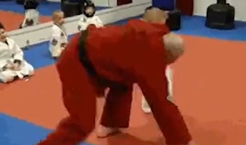 JAČA OD SVIH! Devojčica majstor borilačkih veština! (VIDEO)