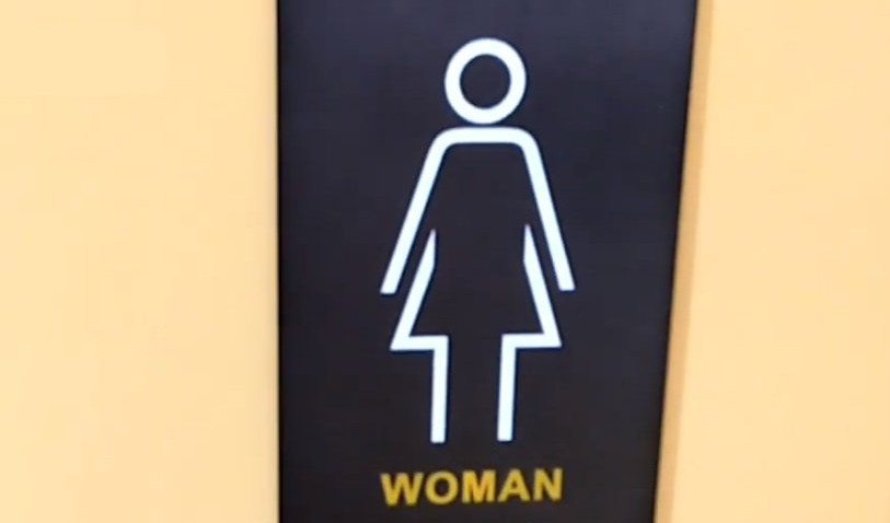 SVE VREME STE MISLILI DA JE OVO HALJINA?! Prevarili ste se - evo šta ZAPRAVO predstavlja trougao na znaku za ŽENSKI WC! (FOTO)