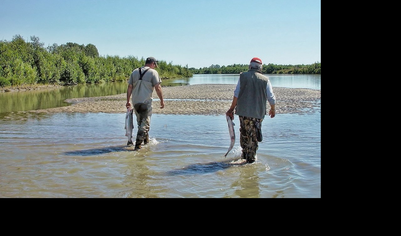 RADI SE 18 SATI DNEVNO, BEZ SLOBODNOG DANA! Iskustvo Nišlije koji je otišao na Aljasku da čisti ribu: Nas Srbe posebno cene, veoma je naporno, ali zato KAD VIDIM ZARADU!