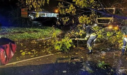 VREME OPASNO PO ŽIVOT! Vozač poginuo kada je drvo palo na automobil! U Sloveniju stiže još snažnije nevreme