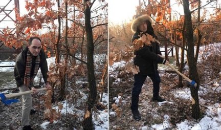KAO NEKAD KRALJ PETAR! Jedinstven običaj u Srbiji - evo kako izgleda seča badnjaka na Oplencu u kraljevoj šumi