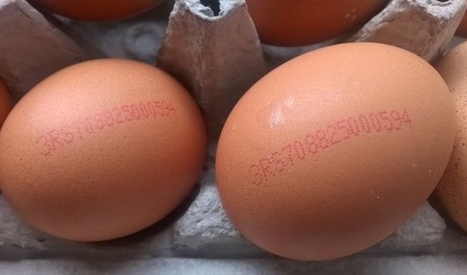 SAD SMO SIGURNI KAKVA SU NAM JAJA I ODAKLE SU! U Topoli počela prodaja jaja s deklaracijom!