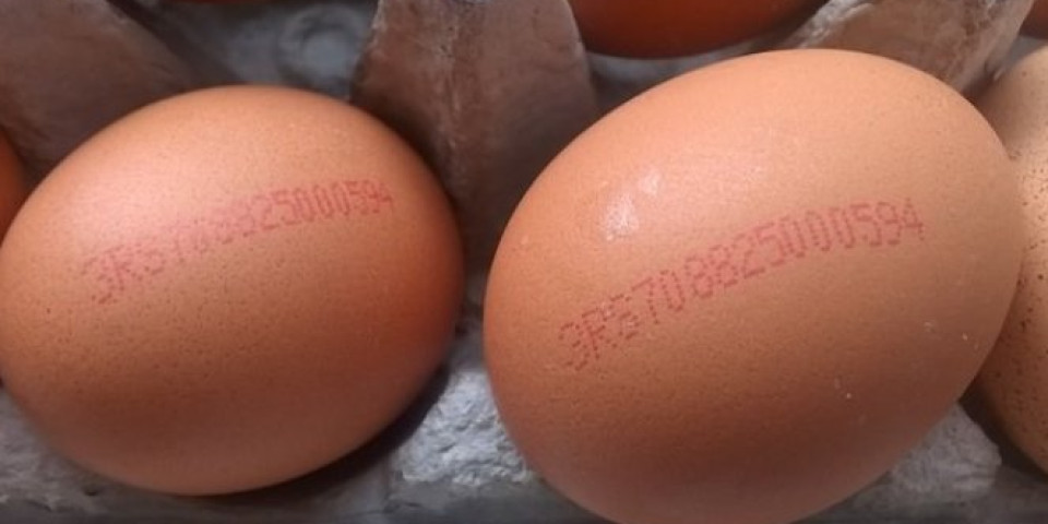 SAD SMO SIGURNI KAKVA SU NAM JAJA I ODAKLE SU! U Topoli počela prodaja jaja s deklaracijom!