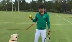 (VIDEO) VREME ZA OPUŠTANJE! Nole uživao u igri: Čoveče, koliko volim pse!