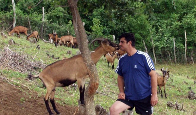 POBEGAO IZ GRADA U POTRAZI ZA MIROM! Ivan danas gaji koze, uživa sa ženom, majkom i dvoje dece u Klenku! (FOTO)