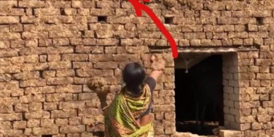 SPASITE SE VRUĆINE KRAVLJOM BALEGOM! Ova žena je GENIJE - fekalije svoje stoke ISKORISTILA ZA IZOLACIJU od vrućine! (VIDEO)