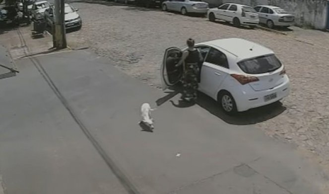 KAKVA BEZDUŠNICA! Izbacila psa iz auta, izudarala ga i odvezla se! (VIDEO)
