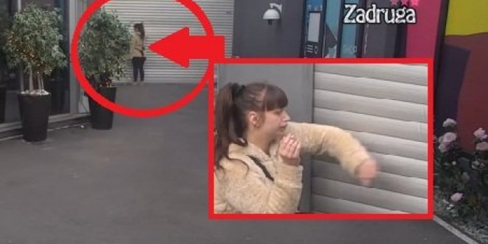 LUPA NA KAPIJU, VRIŠTI! Ovo se dešavalo pre DISKVALIFIKACIJE - poslednji snimci Miljane Kulić u ZADRUZI (VIDEO)