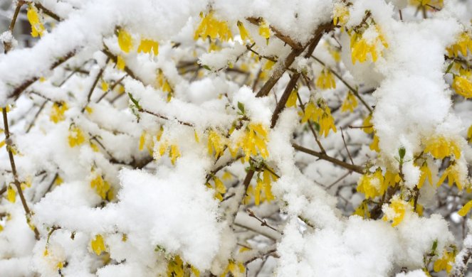 DA LI ĆE ZA PRAZNIKE PADATI SNEG? Poznati srpski meteorolog objavio DETALJNU DUGOROČNU PROGNOZU!