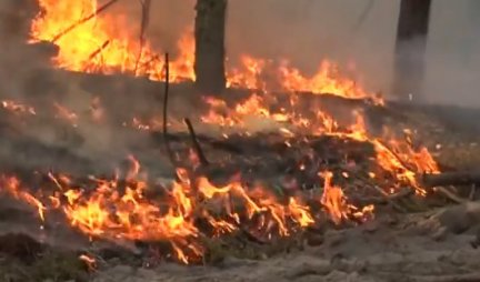 VELIKI POŽAR NA ZLATIBORU, vatra zahvatila 100 hektara šume i livada
