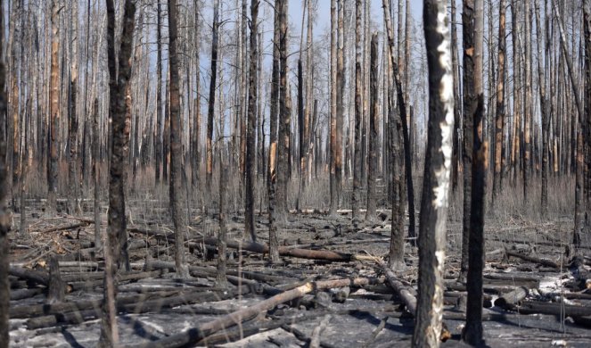 (VIDEO) APOKALIPSA! POŽAR OPUSTOŠIO SVE! Hektari spaljenih šuma kod Černobilja!
