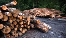 POČELE PRIPREME ZA GREJNU SEZONU! U Jadru cene drva za ogrev oko 5.500 dinara