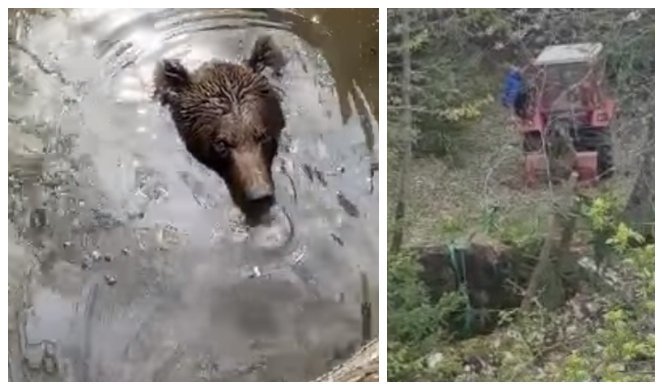 (VIDEO) Kada medved upadne u bunar u Bosni, nastane snimak koji će vas OSTAVITI BEZ TEKSTA