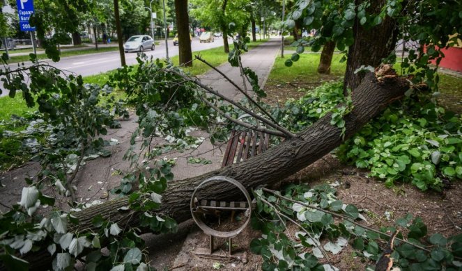 (FOTO) OLUJA NAPRAVILA HAOS U BANJALUCI: Drveće padalo kao pokošeno, vetar lomio i nosio grane, oštećen auto!