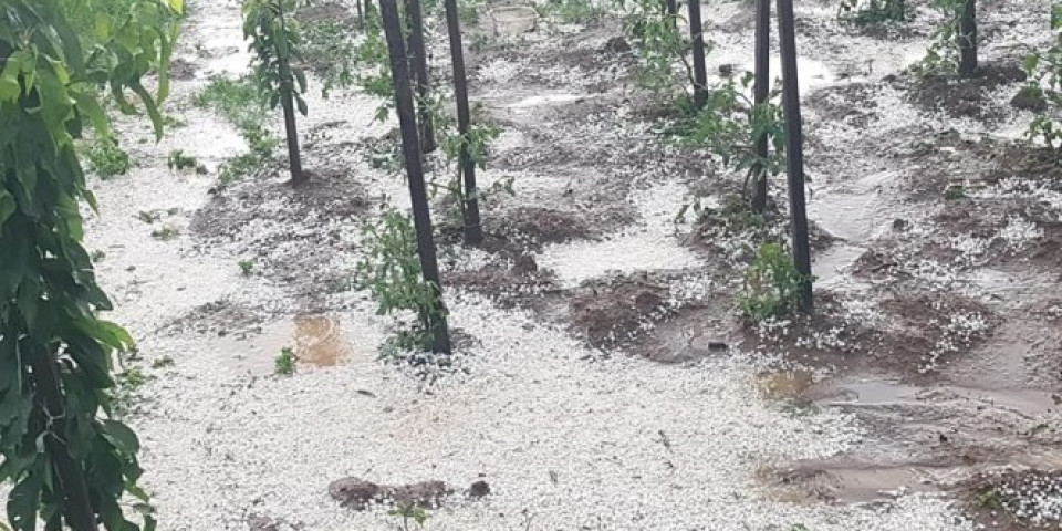 (FOTO) JAKO NEVREME PROTUTNJALO ZLATIBOROM! Grad opustošio polja, SVE SE BELELO!