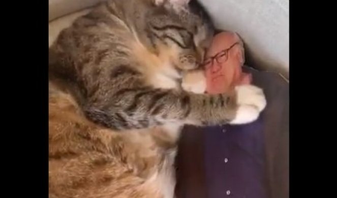 (VIDEO) Ova mačka ima svog ljubimca, NIKOME NE DOZVOLJAVA DA MU PRIĐE, a kada vidite o kome je reč, OSTAĆETE BEZ TEKSTA