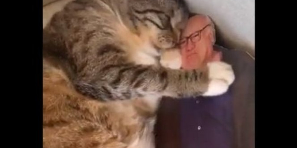 (VIDEO) Ova mačka ima svog ljubimca, NIKOME NE DOZVOLJAVA DA MU PRIĐE, a kada vidite o kome je reč, OSTAĆETE BEZ TEKSTA