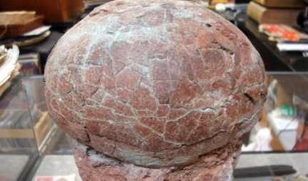 VELIKO OTKRIĆE! Pronađeno najmanje jaje dinosaurusa na svetu, PALEONTOLOZI IZNENAĐENI!