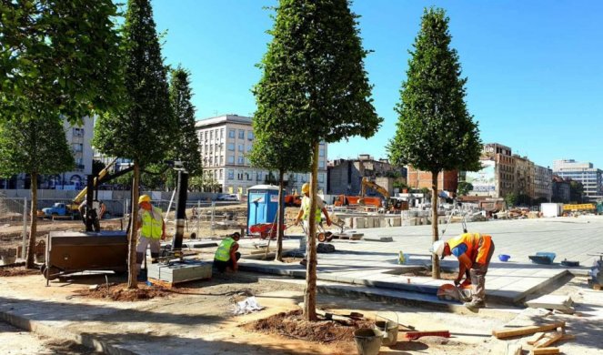 (FOTO) SADIMO NOVA STABLA NA SAVSKOM TRGU! Vesić: To će biti NAJLEPŠA PEŠAČKA ZONA U BEOGRADU i mesto na koje ćemo svi biti ponosni