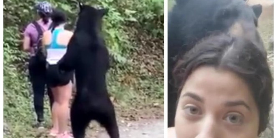 (VIDEO) O snimku ovog medveda i onome što je uradio BRUJI CEO SVET