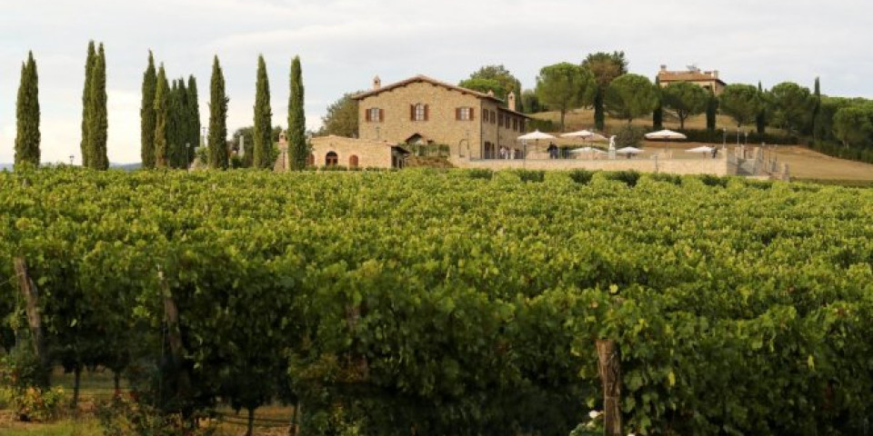 DA NE POVERUJEŠ! Italijan iz Ređo Emilije gaji vinovu lozu na terasi  - jedna boca vina košta 5.000 EVRA (FOTO)