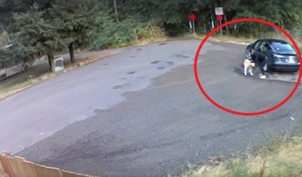 VIDEO KOJI SLAMA SRCE! Pas mahao repom, vlasnica sela u auto i ostavila ga!