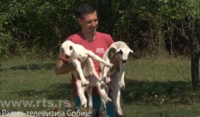 ALEKSANDAR JE PRE 4 GODINE NAPUSTIO BEOGRAD Otišao je na selo i tamo učinio nešto zbog čega ga MEŠTANI KUJU U ZVEZDE