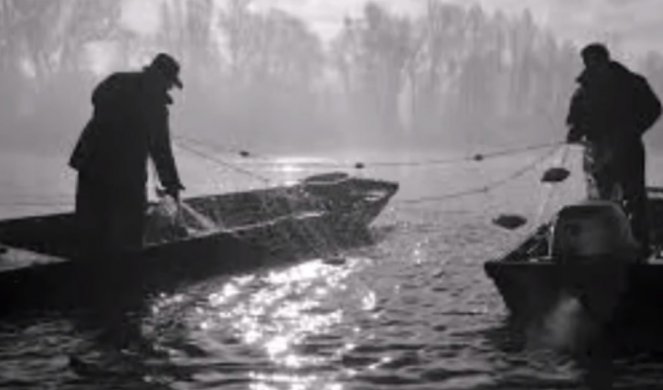 OVAKO JE ISA RIBAR LOVIO ČUDOVIŠNOG KEMZU: Među alasima decenijama kruži legenda o nemani iz Dunava, ISI JE PRED SVEDOCIMA POKIDAO MREŽU!