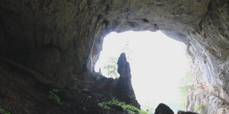 OTKRIVEN NAJSTARIJI CRTEŽ NA SVETU! Pećina skrivala sliku staru više od 45.000 godina! /VIDEO/
