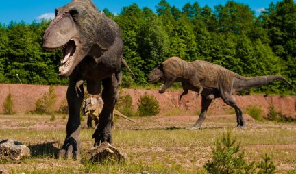 NEVEROVATNO OTKRIĆE U ARGENTINI: Otkriveni ostaci NOVE GIGANTSKE vrste dinosaurusa (FOTO)