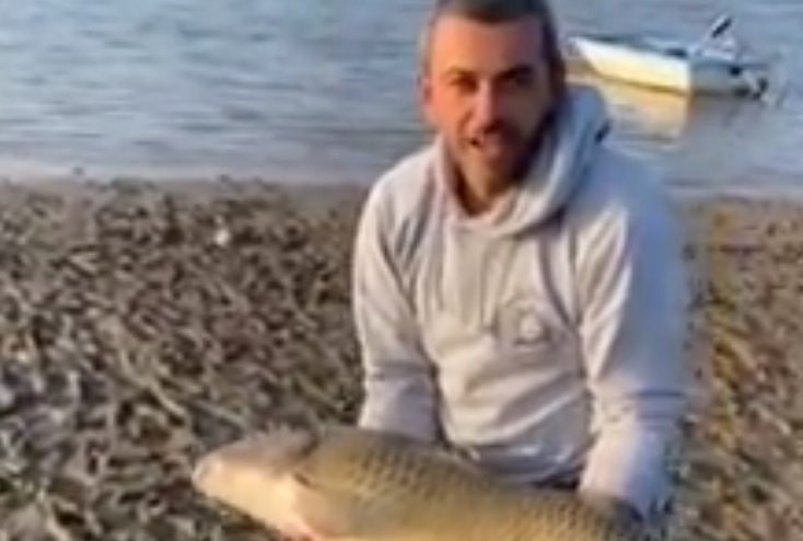 (VIDEO) SENZACIJA! UPECAN ŠARAN KAPITALAC: Veliku ribu ribolovac je jedva izvukao na obalu, a ono što je učinio sa njom ZASLUŽUJE SVAKU POHVALU